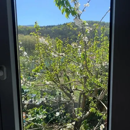 Kwatera prywatna El Naranjo, Reate Lss00277 Usúrbil